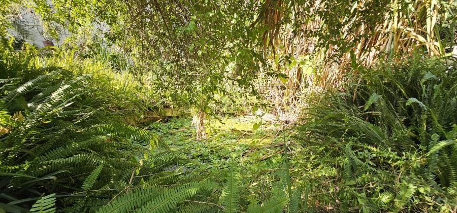 5 Bedroom Property for Sale in Swellendam Western Cape